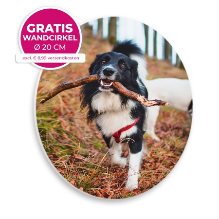 Wandcirkel-20cm