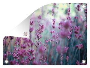 natuurfoto op tuinposter