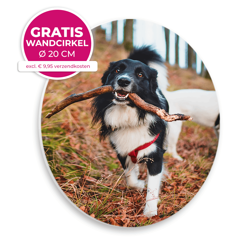 Wandcirkel-20cm