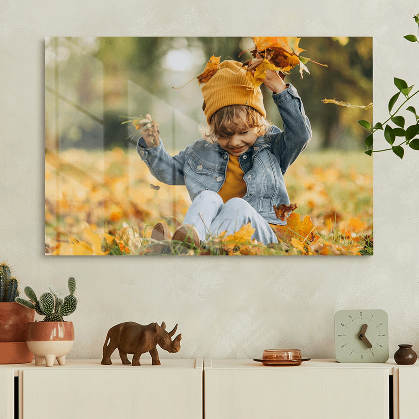 Foto plexiglas