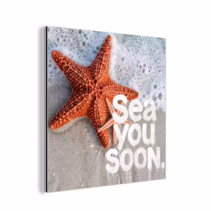 Aluminium schilderij - Sea you soon - Zeester - Zee
