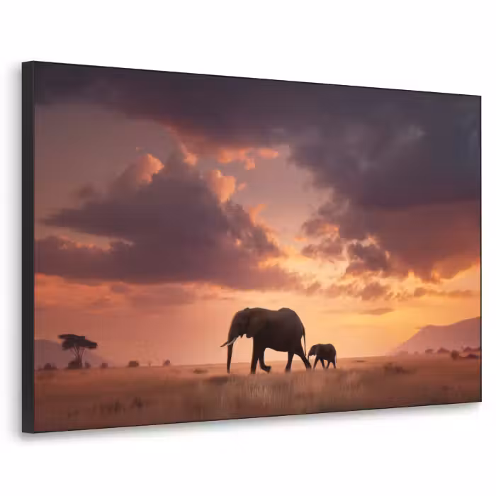 Art Frame - Olifanten - Grasland - Zonsondergang