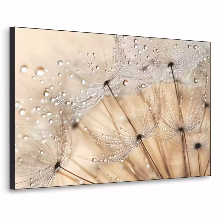 Art Frame - Paardenbloem - Abstract - Natuur - Beige