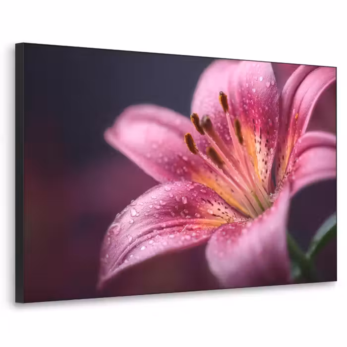 Art Frame - Roze - lelie - Dauwdruppels