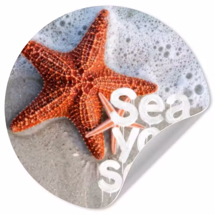 Behangcirkel - Sea you soon - Zeester - Zee