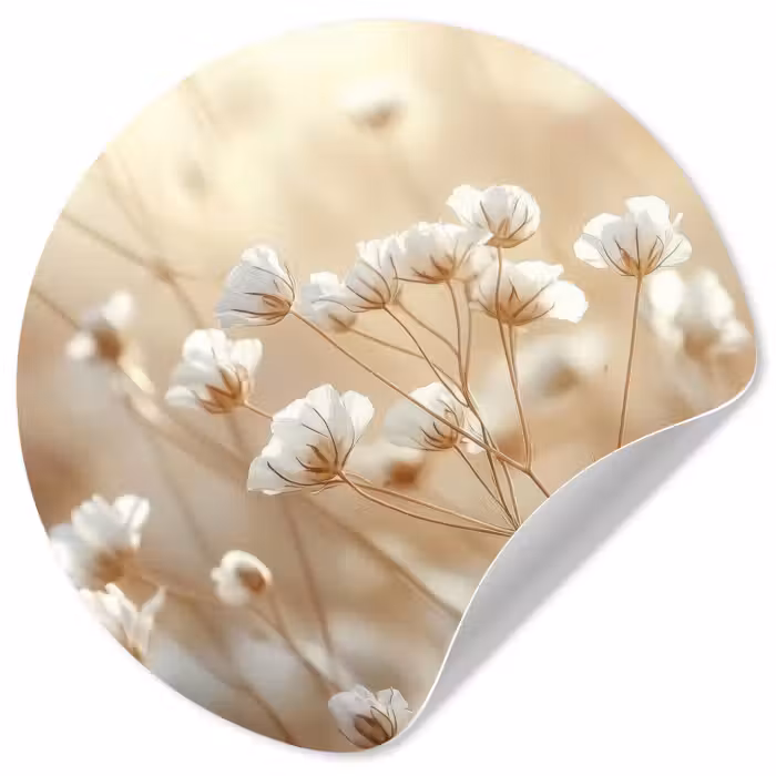 Behangcirkel - Wilde - Bloemen - Wit