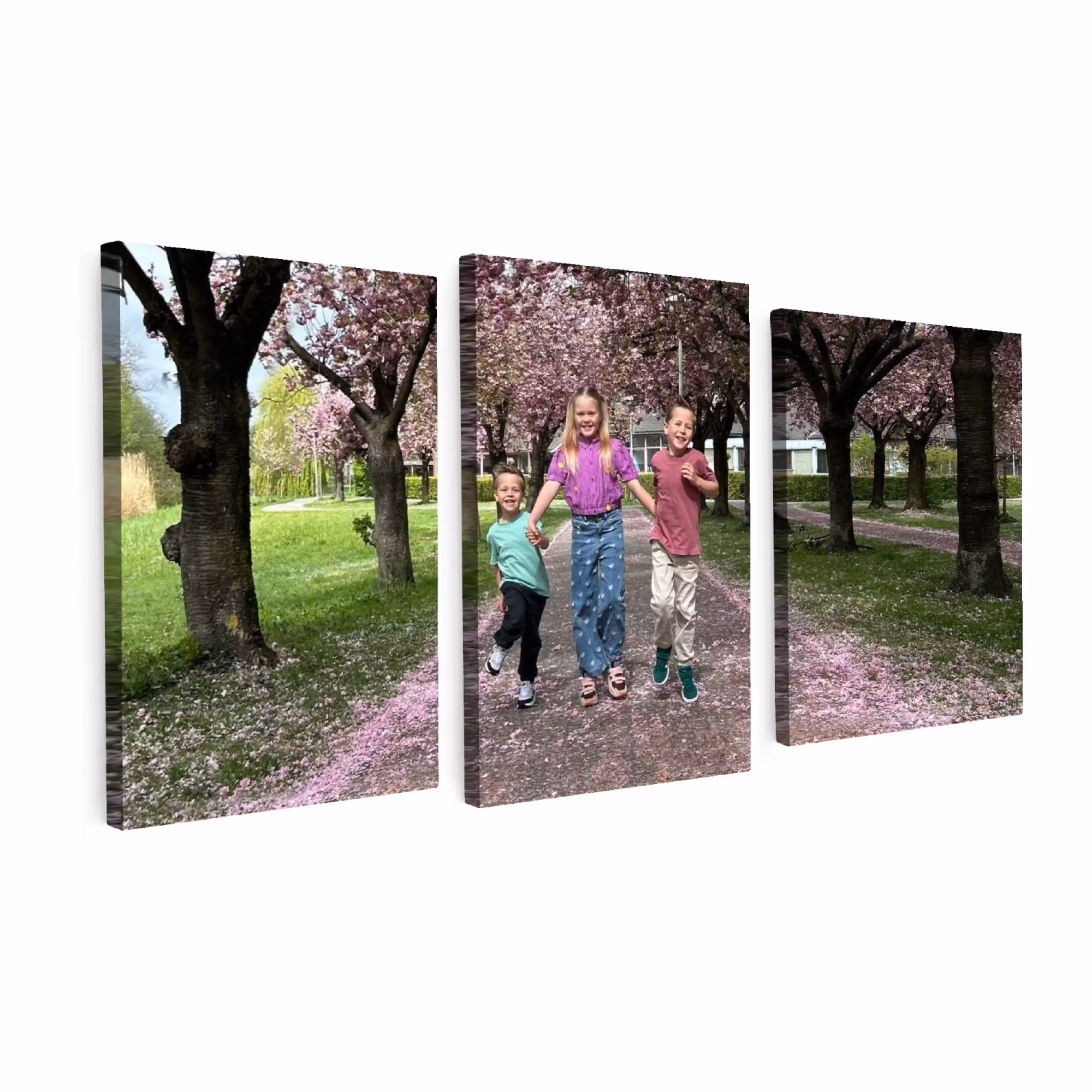 Canvas drieluik - 120x60 cm