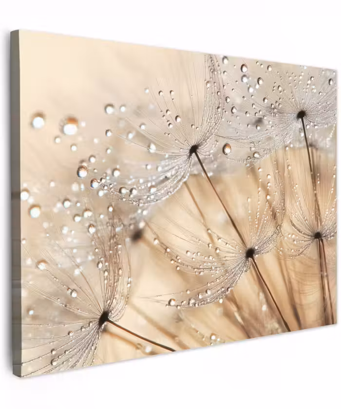 Canvas schilderij - Paardenbloem - Abstract - Natuur - Beige