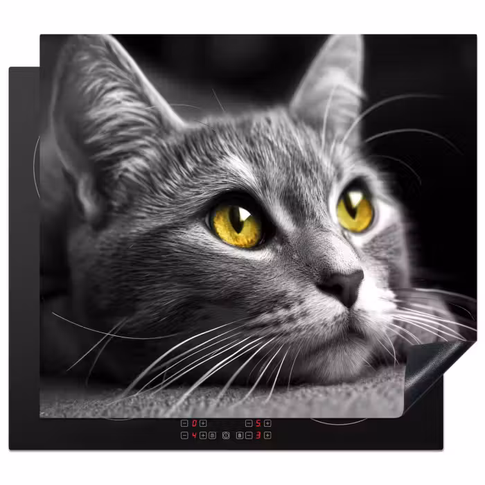 Inductie beschermer - Kat - Grijs - Dieren - Poes
