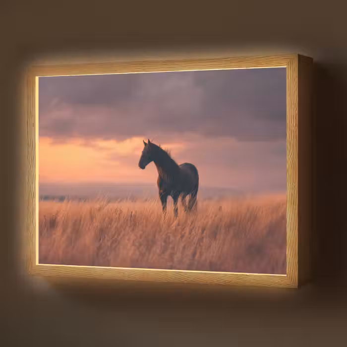 Lightbox - Wandlamp - Paard - Wolken - Open veld