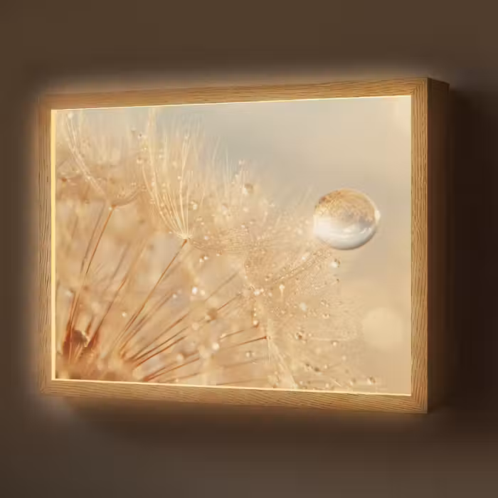 Lightbox - Wandlamp - Paardenbloem - Water - Natuur - Planten - Modern
