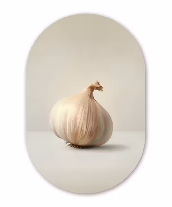 Muurovaal aluminium - Knoflook - Natuurlijk - Beige