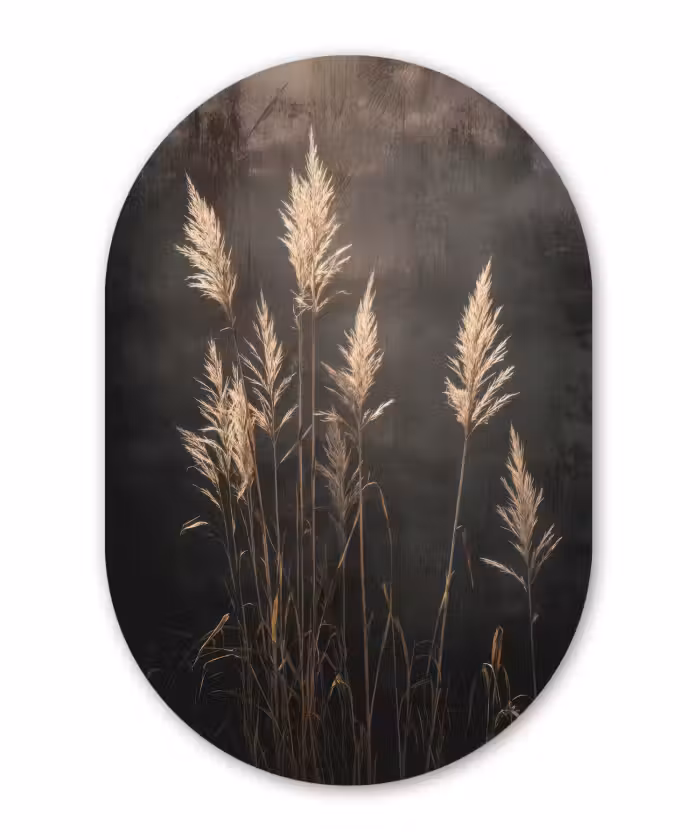 Muurovaal aluminium - Siergras - Pluimen - Verlichting - Zwart