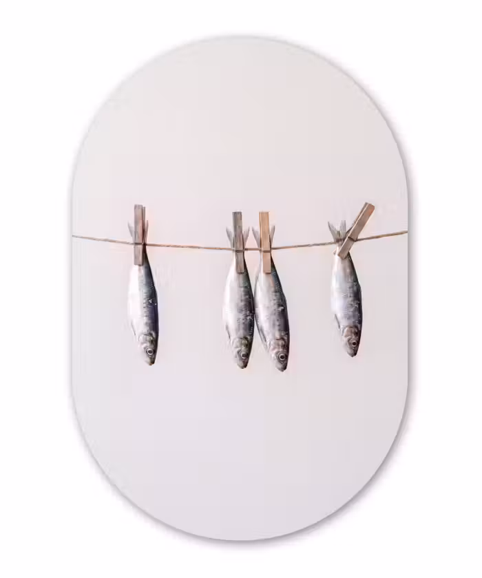 Muurovaal - Glas - Vis - Hangend - Eten