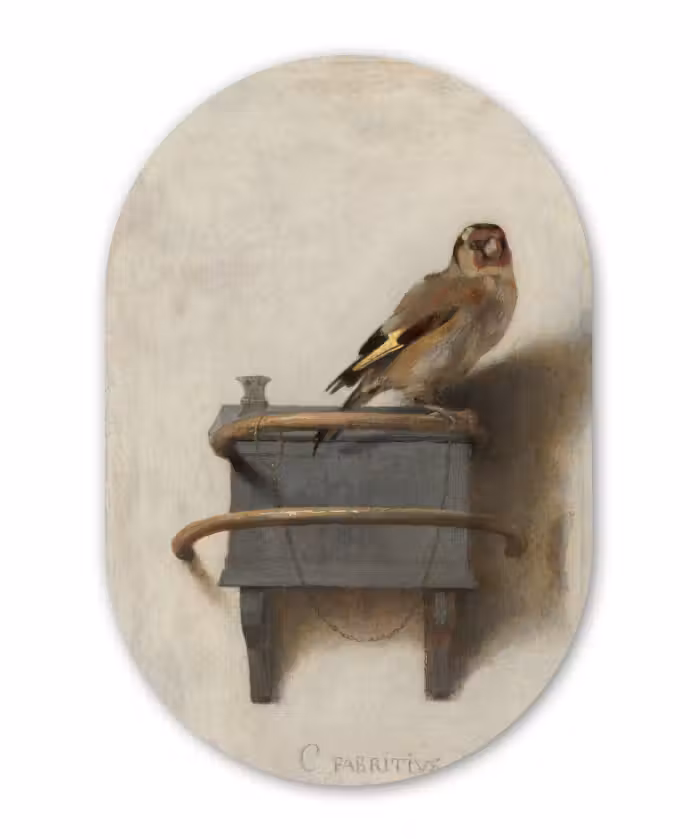 Muurovaal - Kunststof - Het puttertje - Carel Fabritius