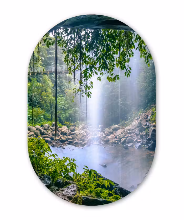 Muurovaal - Kunststof - Jungle - Regenwoud - Water - Waterval - Planten