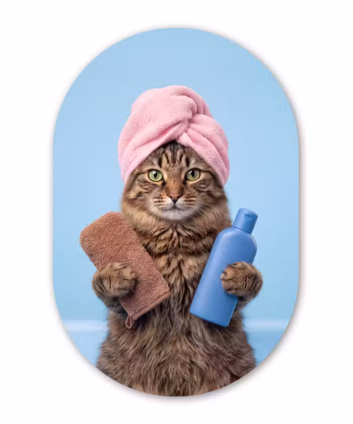 Muurovaal - Kunststof - Kat - Handdoek - Washand - Zeep