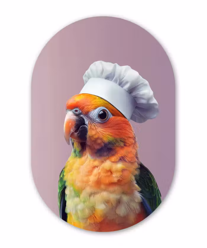 Muurovaal - Kunststof - Papegaai - Koksmuts - Nieuwsgierig - Vogel