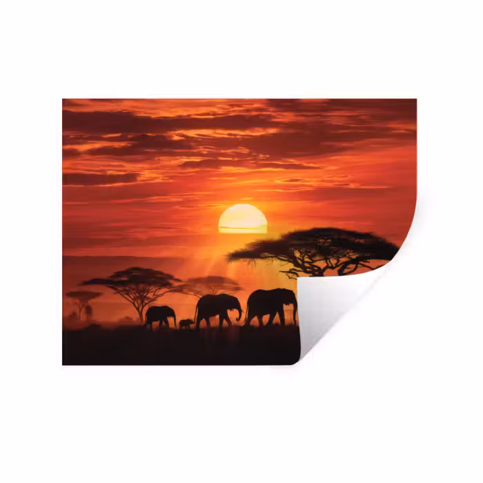 Muursticker - Savanne - Olifanten - Zonsondergang