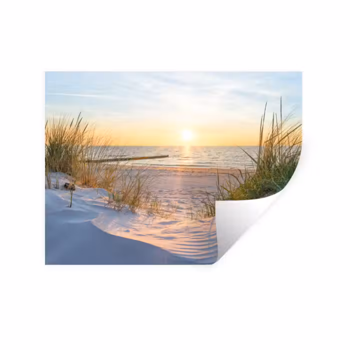 Muursticker - Strand - Zon - Duin - Gras - Zand - Horizon