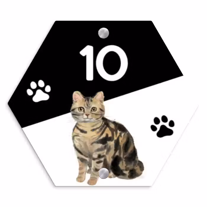 Naambordje voordeur - Hexagon - Zwart wit - Huisdier - Bruingestreepte kat