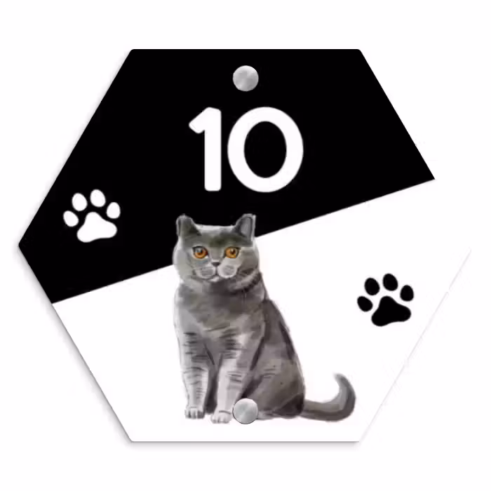 Naambordje voordeur - Hexagon - Zwart wit - Huisdier - Grijze kat