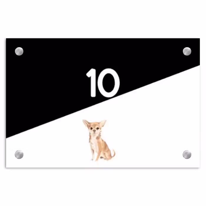 Naambordje voordeur - Rechthoek - Zwart wit - Huisdier - Chihuahua