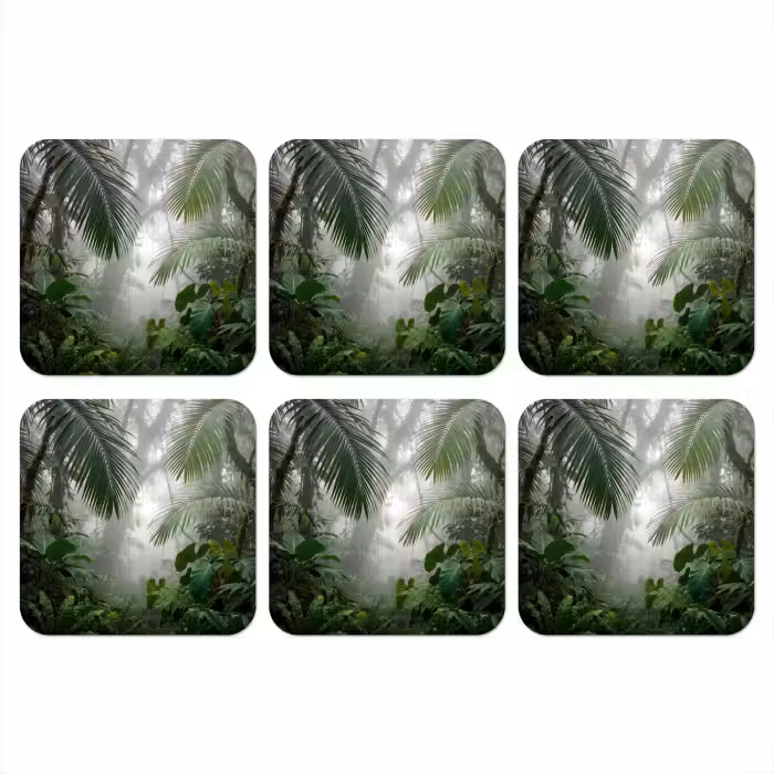 Onderzetter - Natuur - Jungle - Mist - Tropisch - Groen