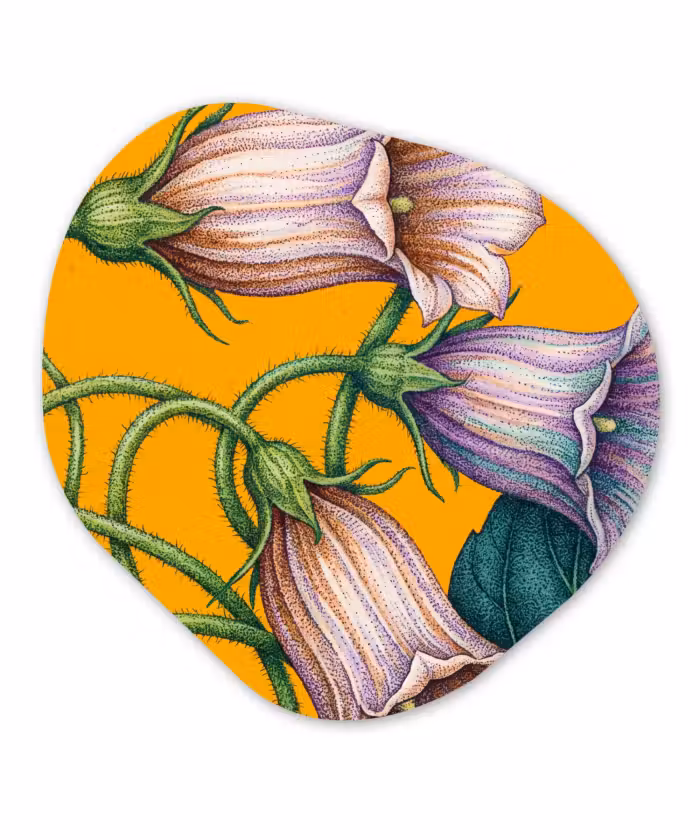 Organische vorm aluminium - Bloemen - Botanisch - Geel