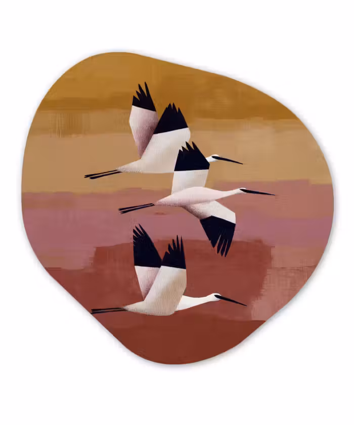 Organische vorm aluminium - Vogels - Snavel - Abstract