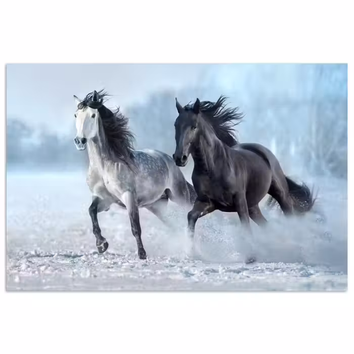 Poster - Paarden - Winter - Dieren - Natuur - Sneeuw