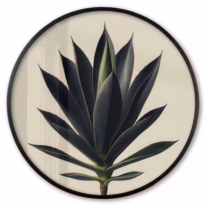 Ronde fotolijst - Agaveplant - Symmetrisch - Groen