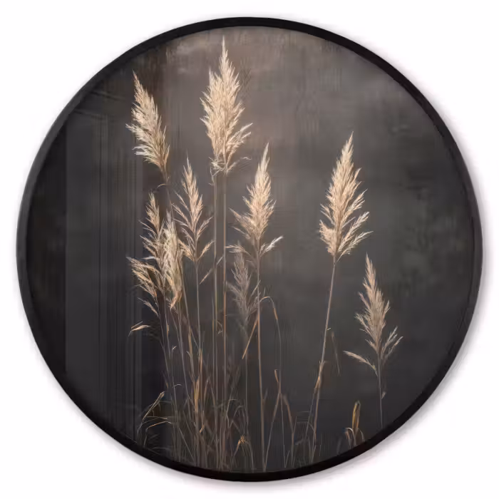 Ronde fotolijst - Siergras - Pluimen - Verlichting - Zwart