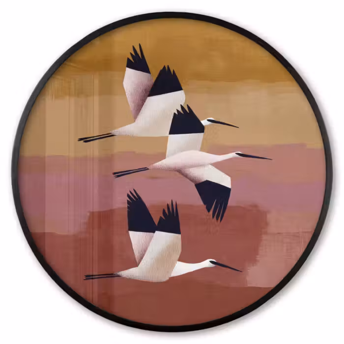 Ronde fotolijst - Vogels - Snavel - Abstract