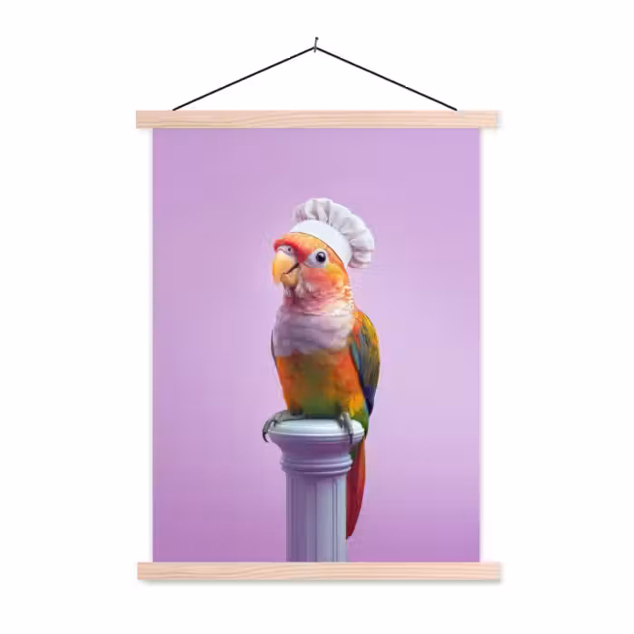 Schoolplaat - Papegaai - Koksmuts - Pilaar - Vogel