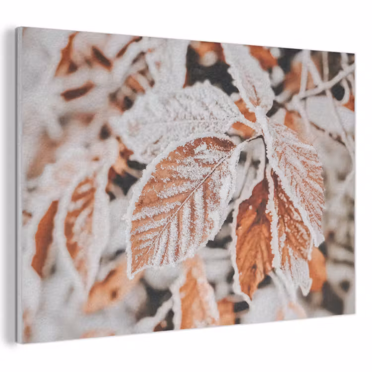Akoestisch schilderij - Bladeren - IJs - Winter - Natuur — 1