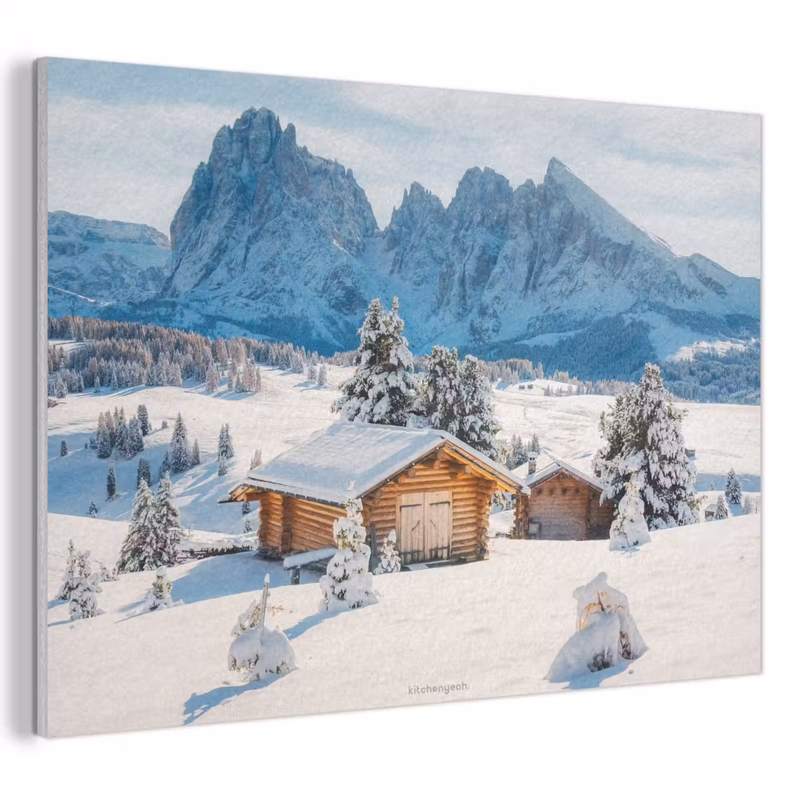 Akoestisch schilderij - Landschap - Winter - Sneeuw — 1