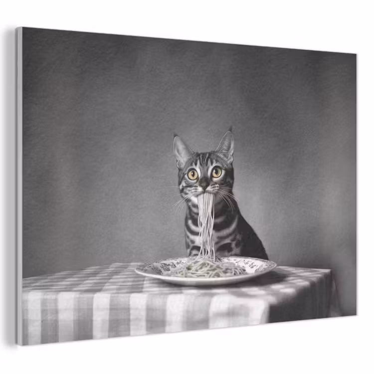 Akoestisch schilderij - Bengaal - Kat - Tafelkleed - Zwart - Wit - Dier — 1