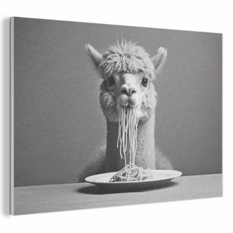 Akoestisch schilderij - Alpaca - Pasta - Zwart - Wit - Grappig - Dieren — 1