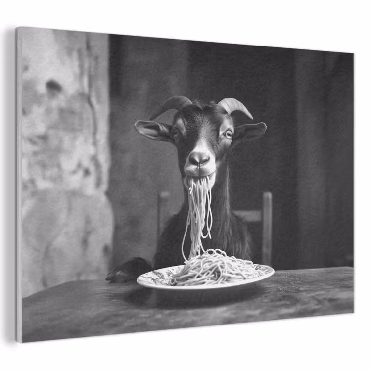 Akoestisch schilderij - Geit - Bord - Spaghetti - Zwart Wit — 1