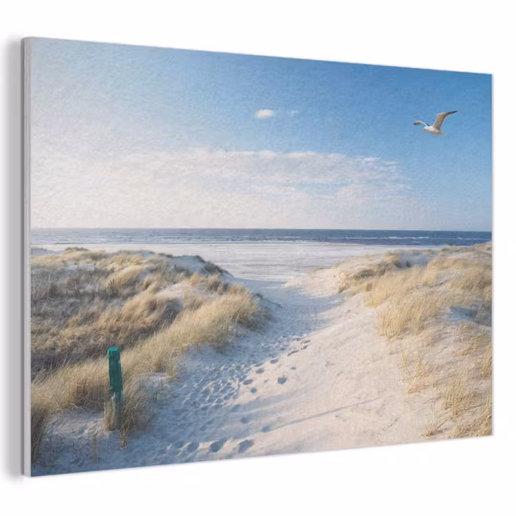 Akoestisch schilderij - Duin - Meeuw - Strand - Zee - Zon — 1