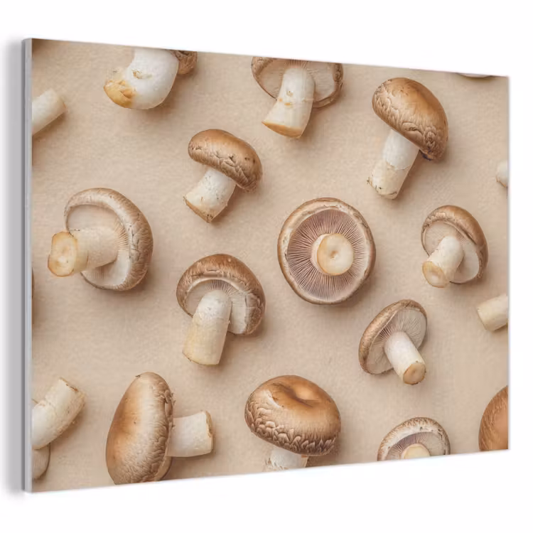 Akoestisch schilderij - Kastanje Champignons - Beige — 1