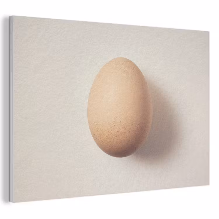 Akoestisch schilderij - Ei - Beige - Ovaal - Egaal — 1