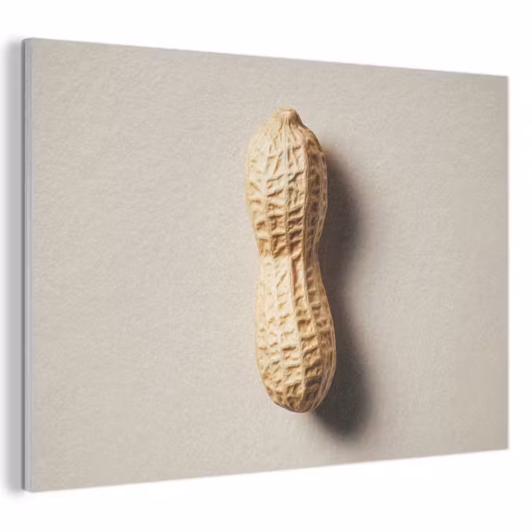 Akoestisch schilderij - Pinda - Ruw - Beige — 1