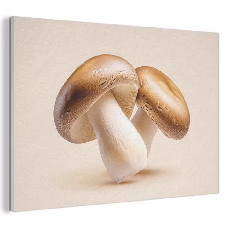 Akoestisch schilderij - Champignons - Zacht - Beige — 1