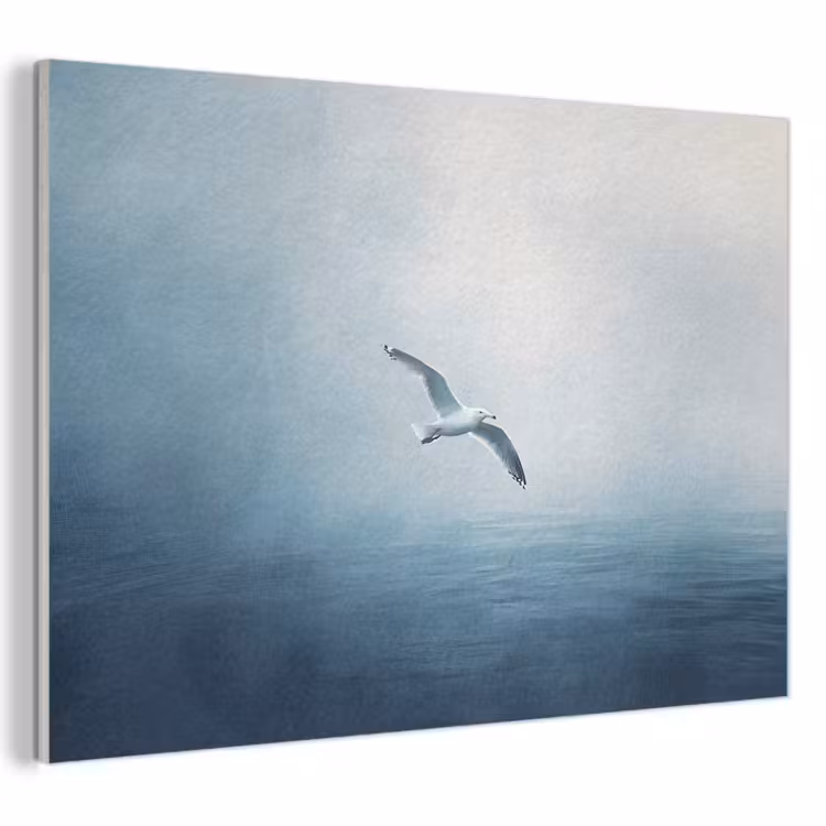 Akoestisch schilderij - Meeuw - Wit - Zee - Mistig — 1