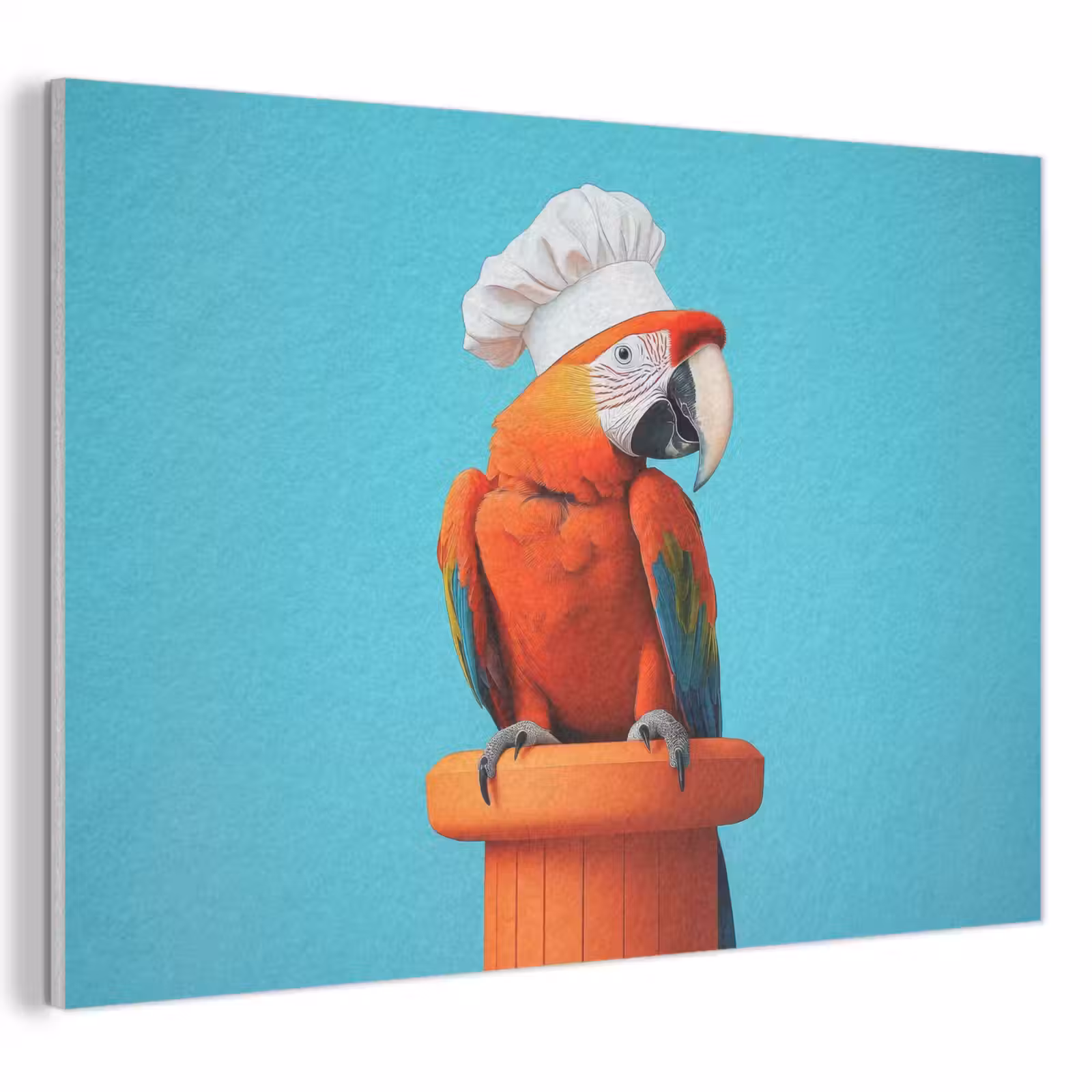 Akoestisch schilderij - Ara - Koksmuts - Sokkel - Grappig — 1
