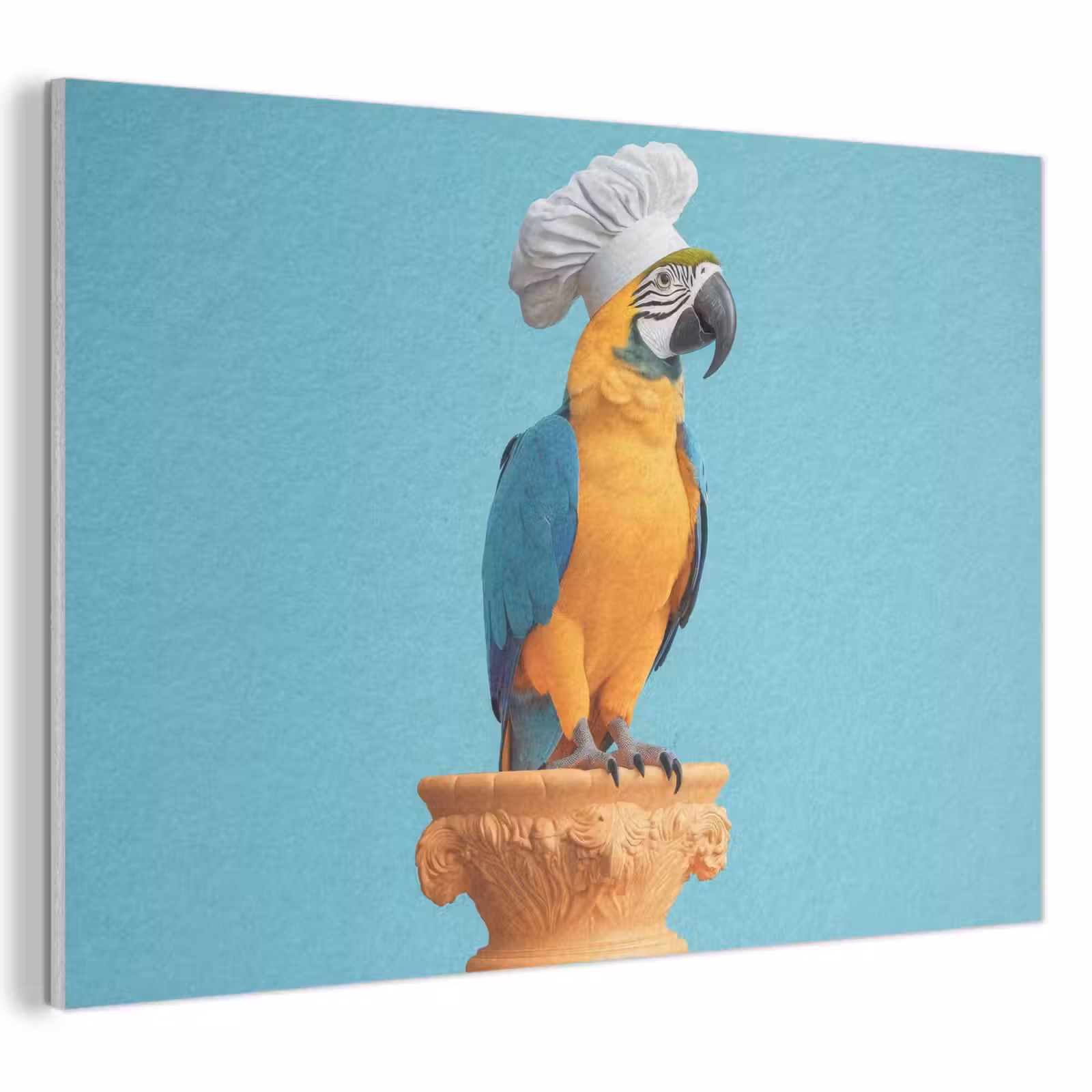 Akoestisch schilderij - Papegaai - Koksmuts - Grappig - Vogel — 1