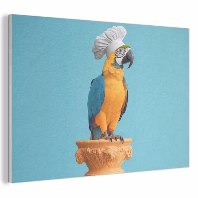 Akoestisch schilderij - Papegaai - Koksmuts - Grappig - Vogel — 1