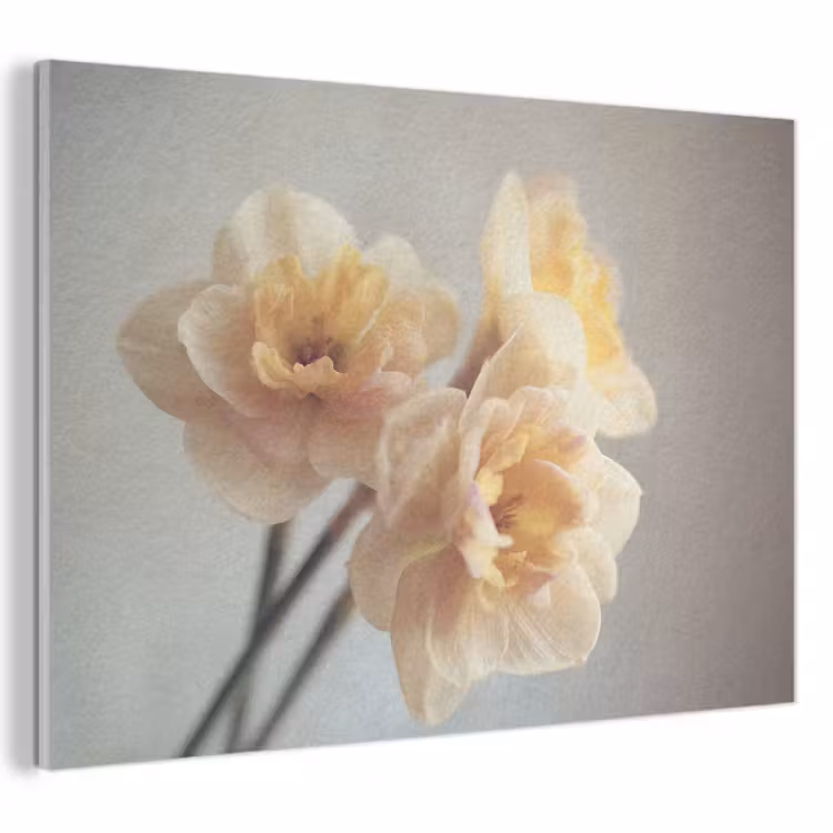 Akoestisch schilderij - Narcissen - Geel - Bloemblaadjes — 1